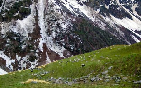 CHANDERNAHAN PEAK TREK